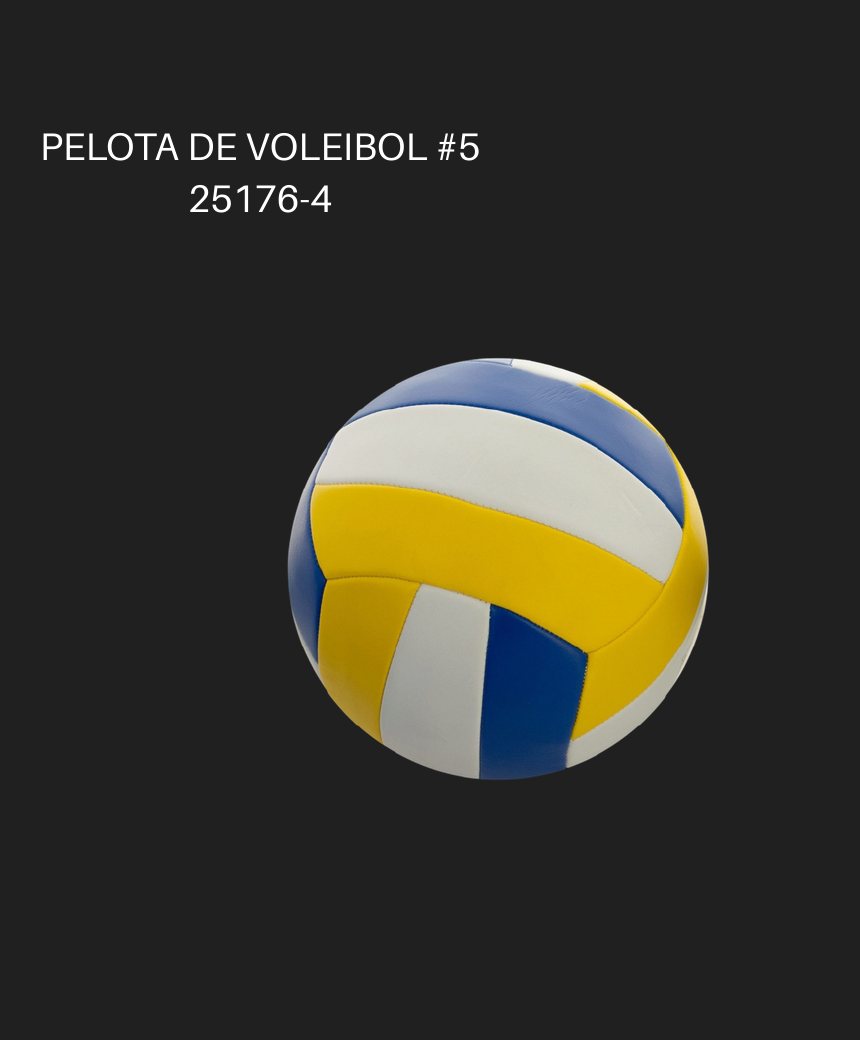 PELOTA DE VOLEIBOL #5