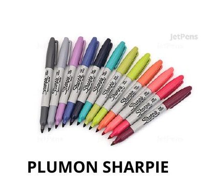 PLUMON SHARPIE FINO DORADO