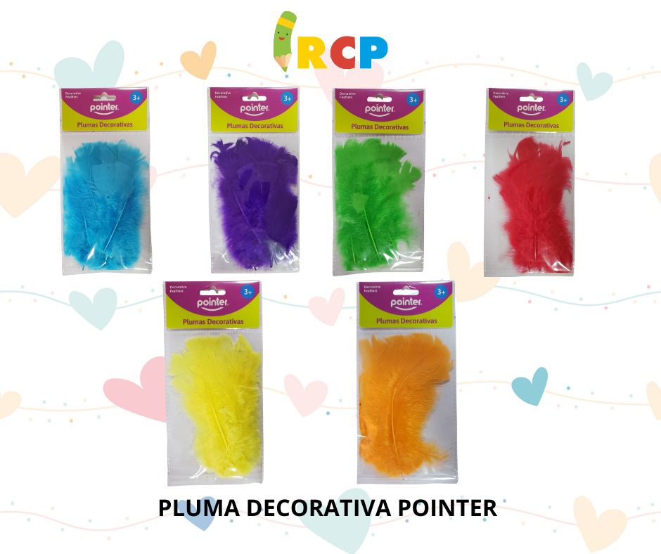 SET DE PLUMAS DECORATIVAS 12PZS POINTER